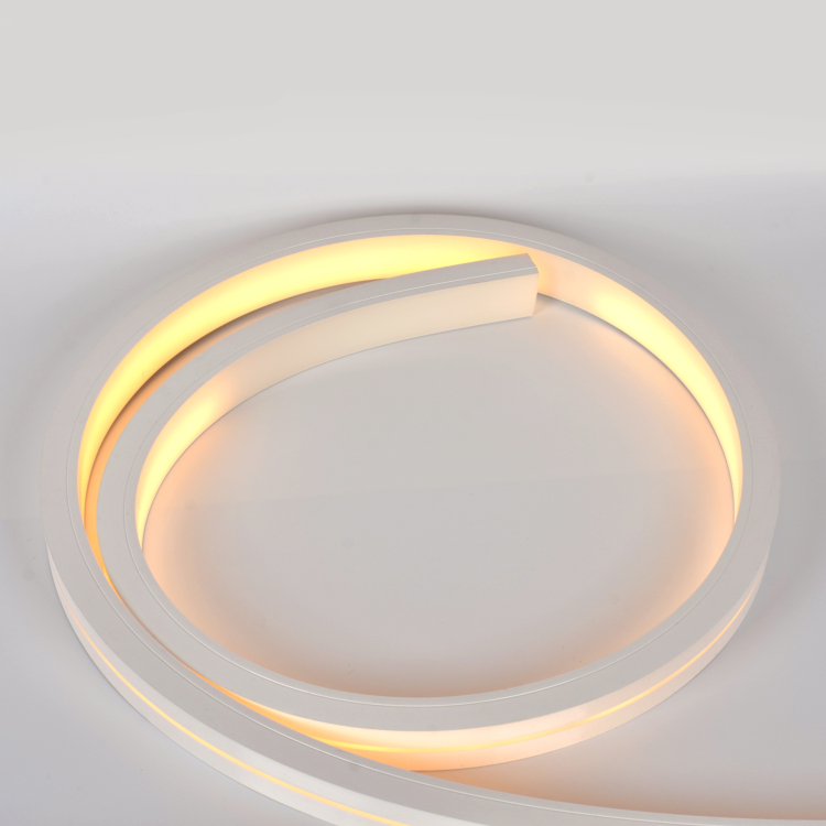 30*20 Silicone Neon Tube Flex Strip SMD2835 120leds/m15mm